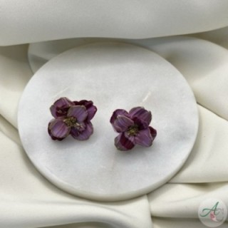 Fiorellino Violeta variado